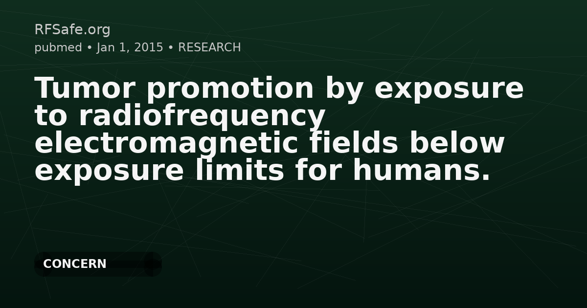 Tumor promotion by exposure to radiofrequency electromagnetic fields below exposure limits for humans.