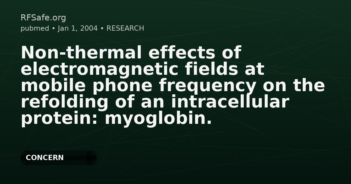 Non-thermal effects of electromagnetic fields at mobile phone frequency on the refolding of an intracellular protein: myoglobin.