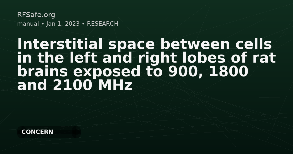 Interstitial space between cells in the left and right lobes of rat brains exposed to 900, 1800 and 2100 MHz
