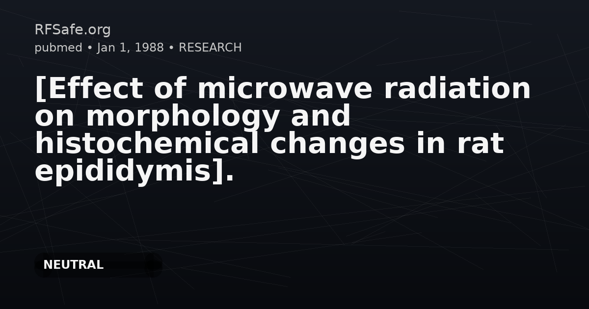 [Effect of microwave radiation on morphology and histochemical changes in rat epididymis].