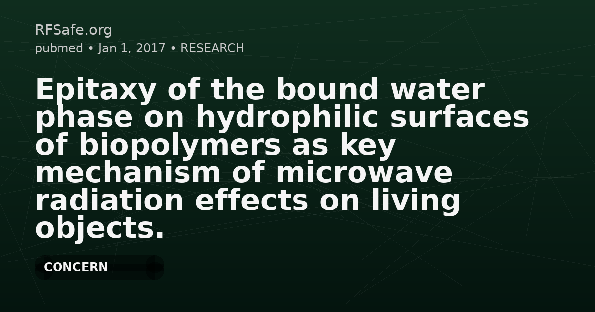 Epitaxy of the bound water phase on hydrophilic surfaces of biopolymers as key mechanism of microwave radiation effects on living objects.