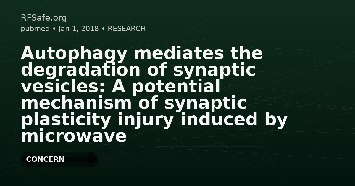 Autophagy mediates the degradation of synaptic vesicles: A potential mechanism of synaptic plasticity injury induced by microwave exposure in rats.
