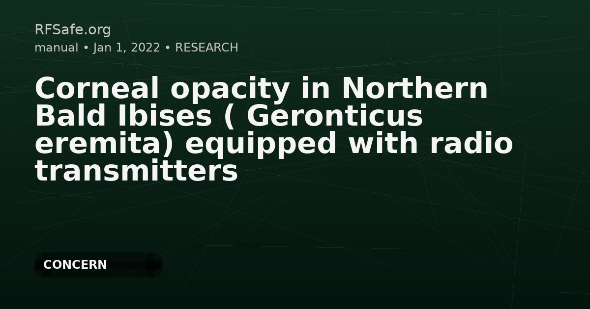 Corneal opacity in Northern Bald Ibises ( Geronticus eremita) equipped with radio transmitters